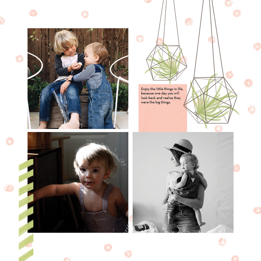 Watercolor Botanicals 12x12 undefined  Wall Calendar