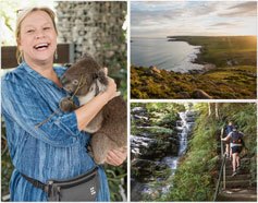 Gallery of Three Hero