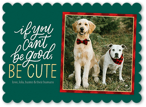 Framed Cute 5x7 Green  Holiday Card