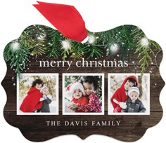 Rustic Evergreen Lights