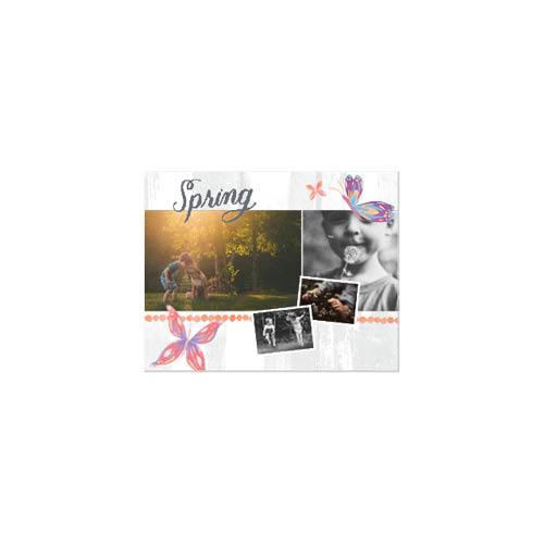 Painted Seasons 8x11 undefined  Photo Book