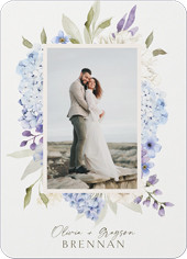 Hydrangea Highlight