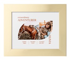 Favorite Infographic​