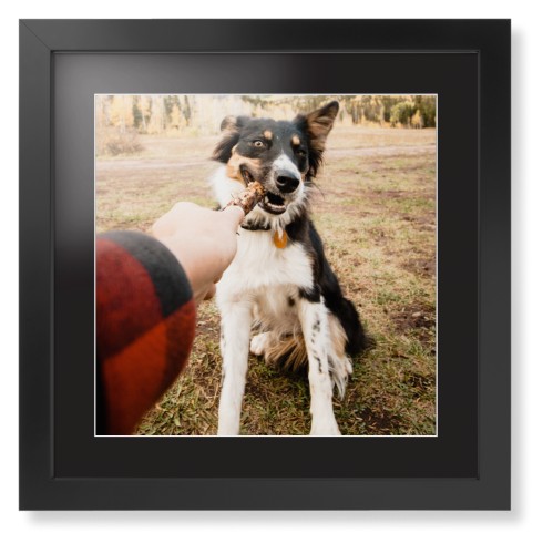 Pet Photo Prints For Dog Lovers
