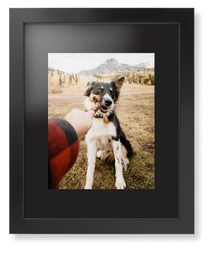 Pet Photo Gallery