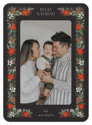 Winter Botanical Border