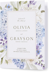 Hydrangea Highlight