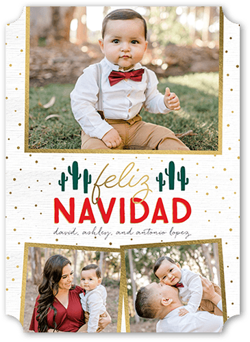 Speckled Succulent 5x7 White  Tarjeta de Navidad