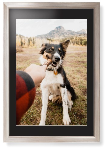 Pet Photo Prints For Dog Lovers