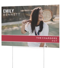 All Star Player Landscape