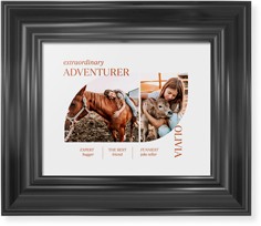 Favorite Infographic​