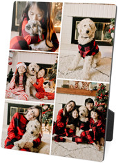 Gallery of Five Portrait