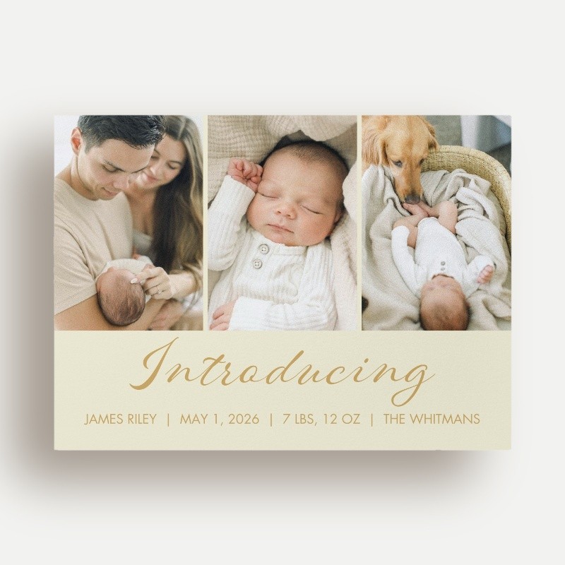 Softly Introducing