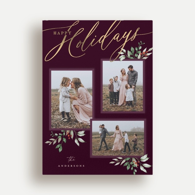 Script and Snapshots