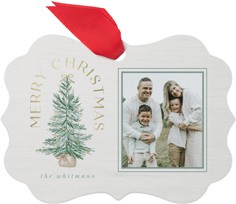 Christmas Tree Tidings