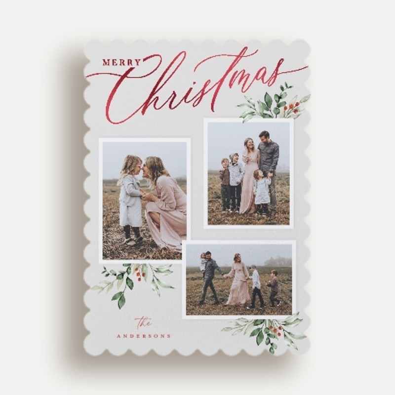 Script and Snapshots