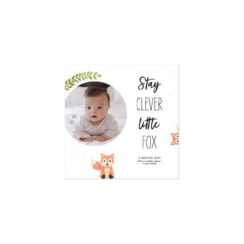 Woodland Baby 10x10 undefined  Premium Album
