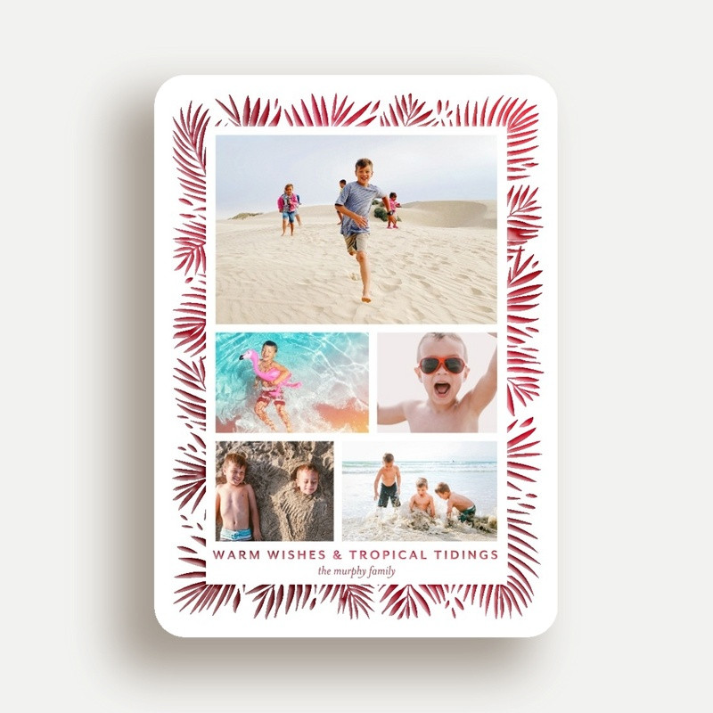 Tropical Tidings