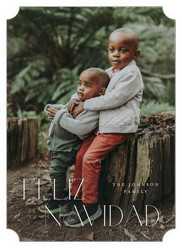 Classic Holiday Elegance