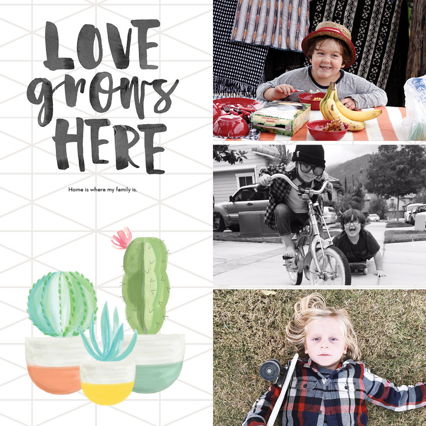 Watercolor Botanicals 12x12 undefined  Wall Calendar