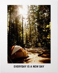 Gallery of One Portrait