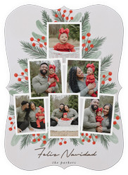 Lush Greenery Greetings