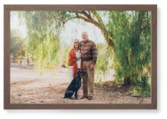 Landscape Photo Gallery