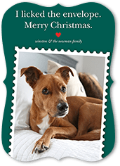 Festive Pet Stamp