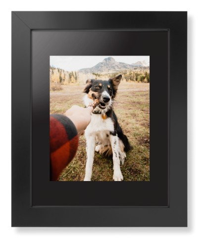Pet Photo Gallery