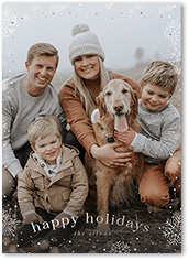 Snowfall Surroundings