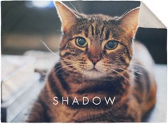 Pets Photo Gallery Horizontal