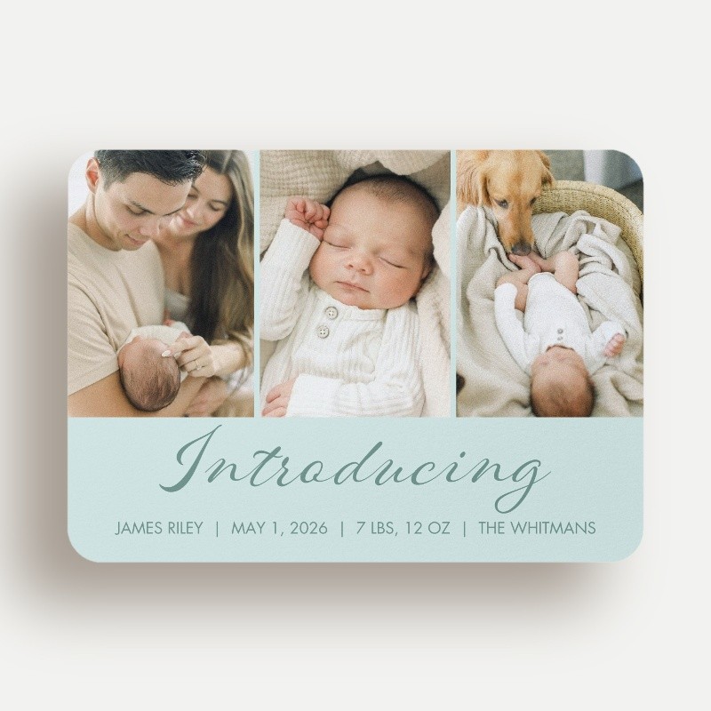 Softly Introducing Birth Announcement Softly Introducing 5x7 Teal Birth Announcement