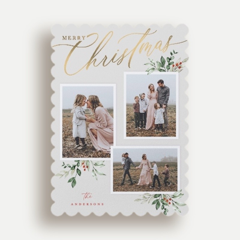Script and Snapshots