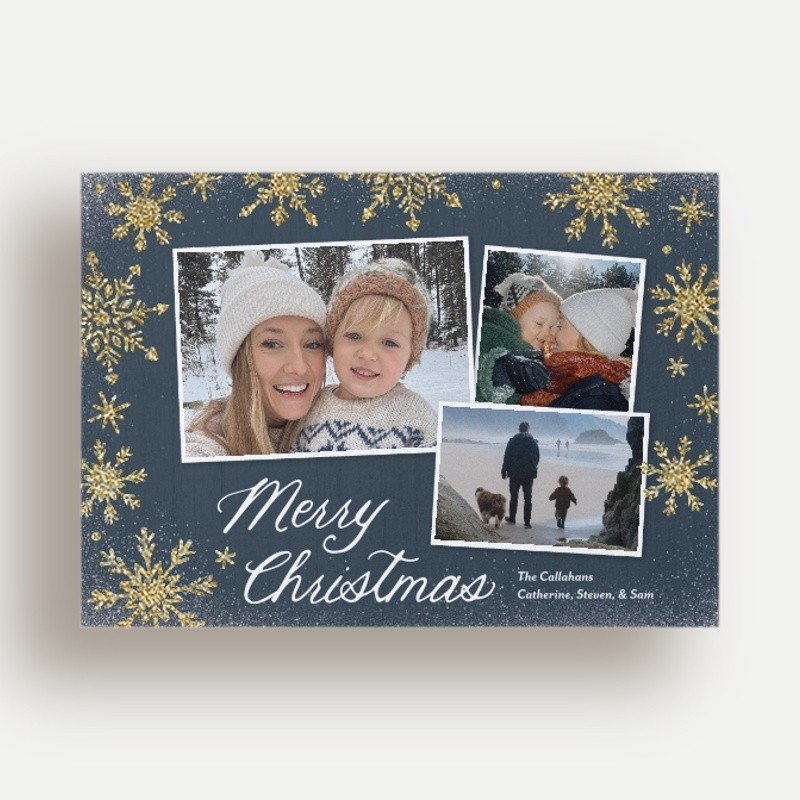 Snowflake Snapshots