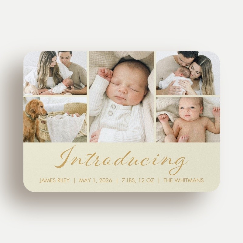 Softly Introducing