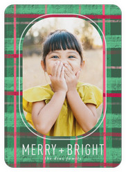 Vibrant Plaid Tidings