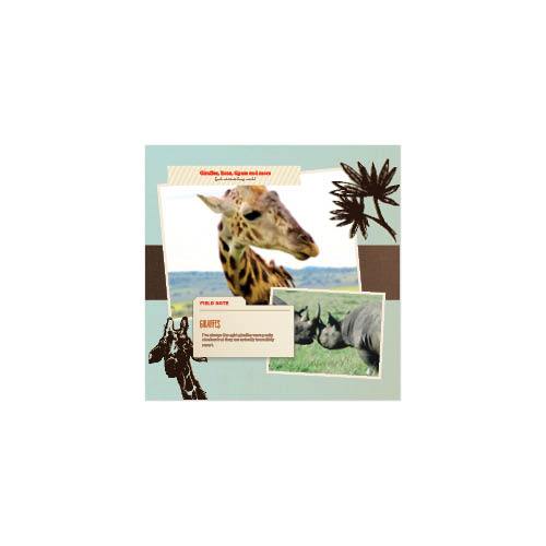 Passport to Africa 8x8 undefined  Premium Album