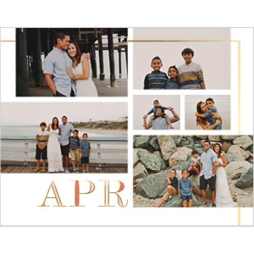 Gilded Jewel Tones 8x11 undefined  Wall Calendar