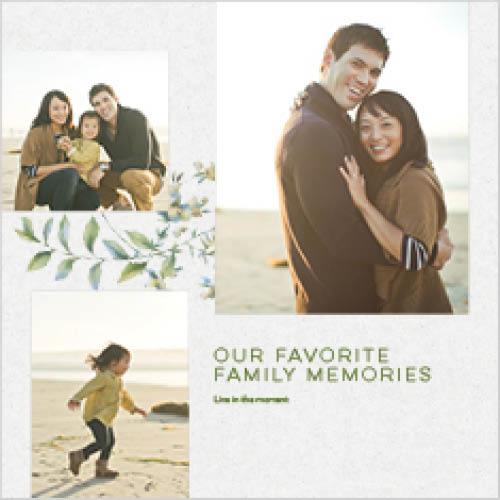 Classic Greenery 12x12 undefined  Premium Album