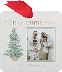 Christmas Tree Tidings