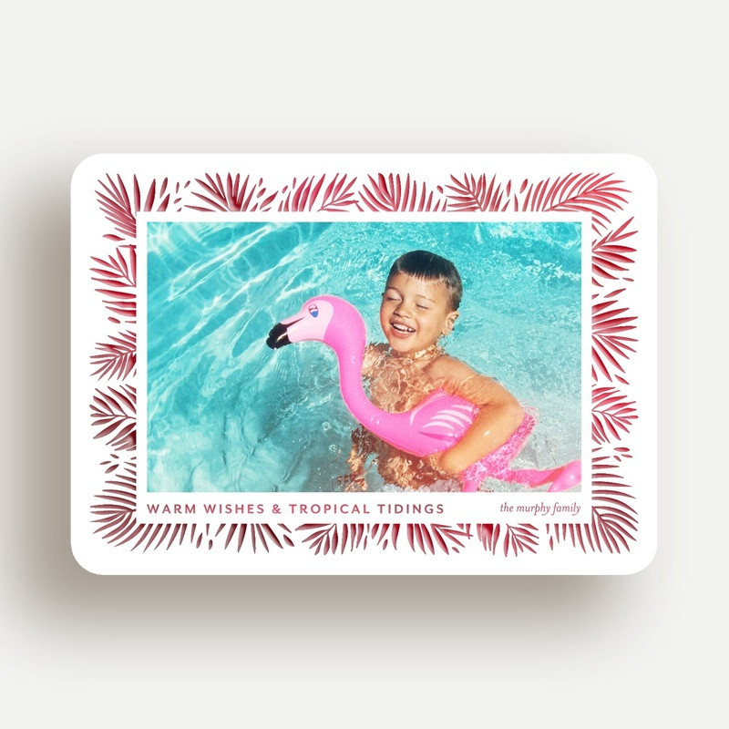 Tropical Tidings