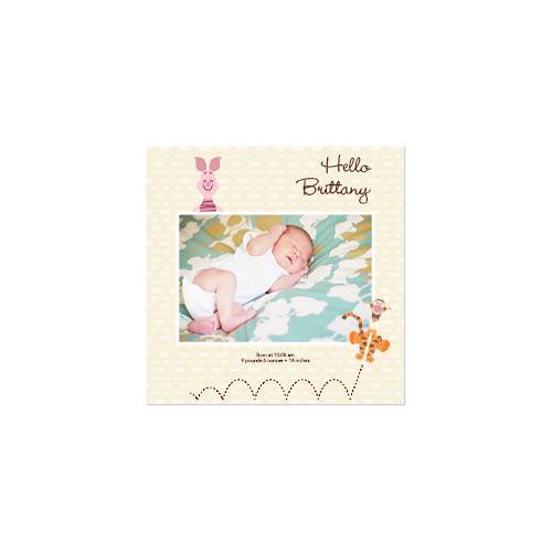 Disney Winnie the Pooh 8x8 undefined  Premium Album