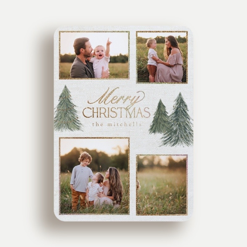 Elegant Pines Holiday Card