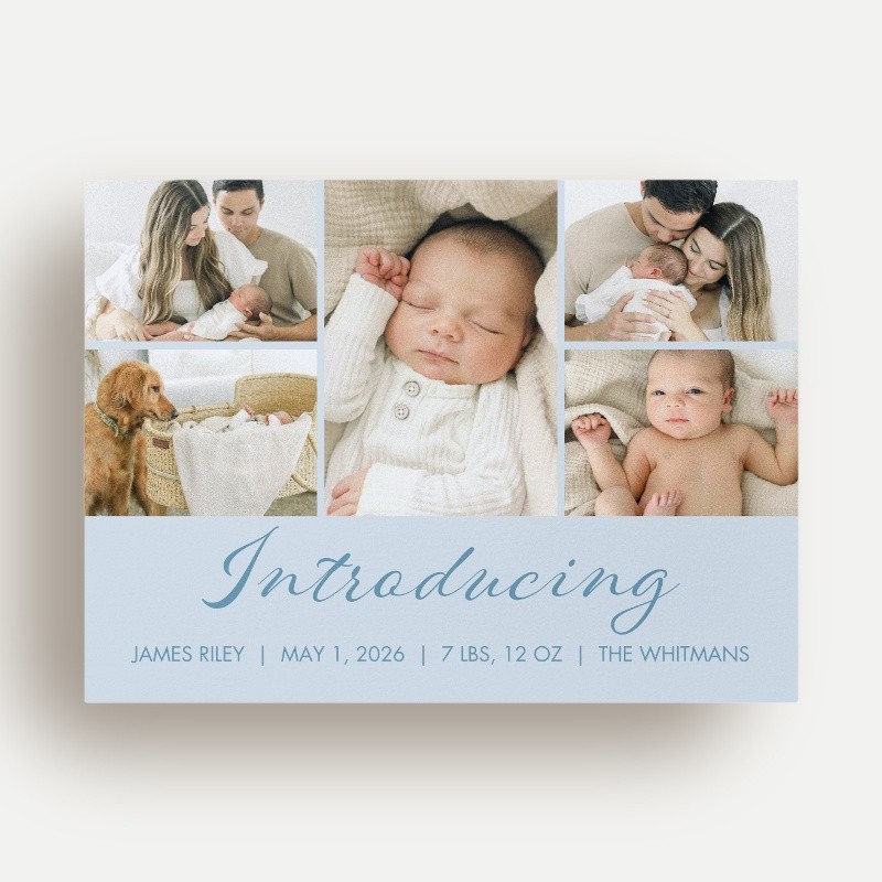 Softly Introducing Birth Announcement Softly Introducing 6x8 Blue Birth Announcement