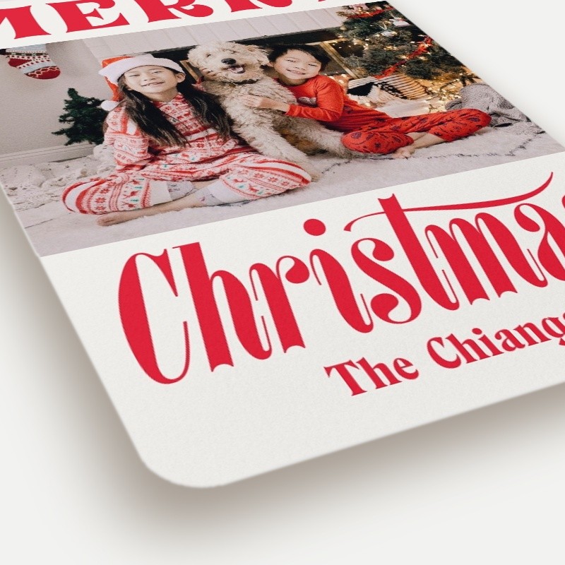 Bold Cheer Holiday Card