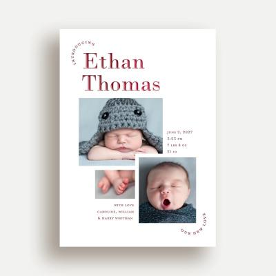 Newborn Bliss
