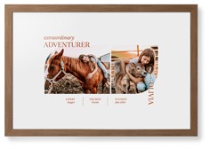 Favorite Infographic​