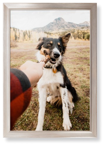 Framed Prints: Pet Photo Gallery Metallic Modern Frame 20x30 1 Photo Shutterfly