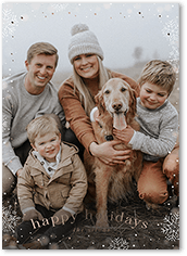 Snowfall Surroundings