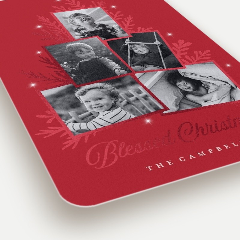 Sprig Tree Holiday Card